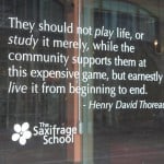 Saxifrage quote photo