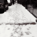 Snow Path