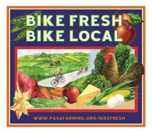 Bike Fresh Label 2013