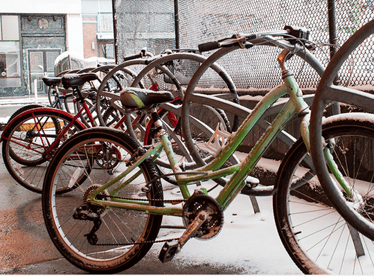 Bikes Point Park photo by Dominique Hildebrand