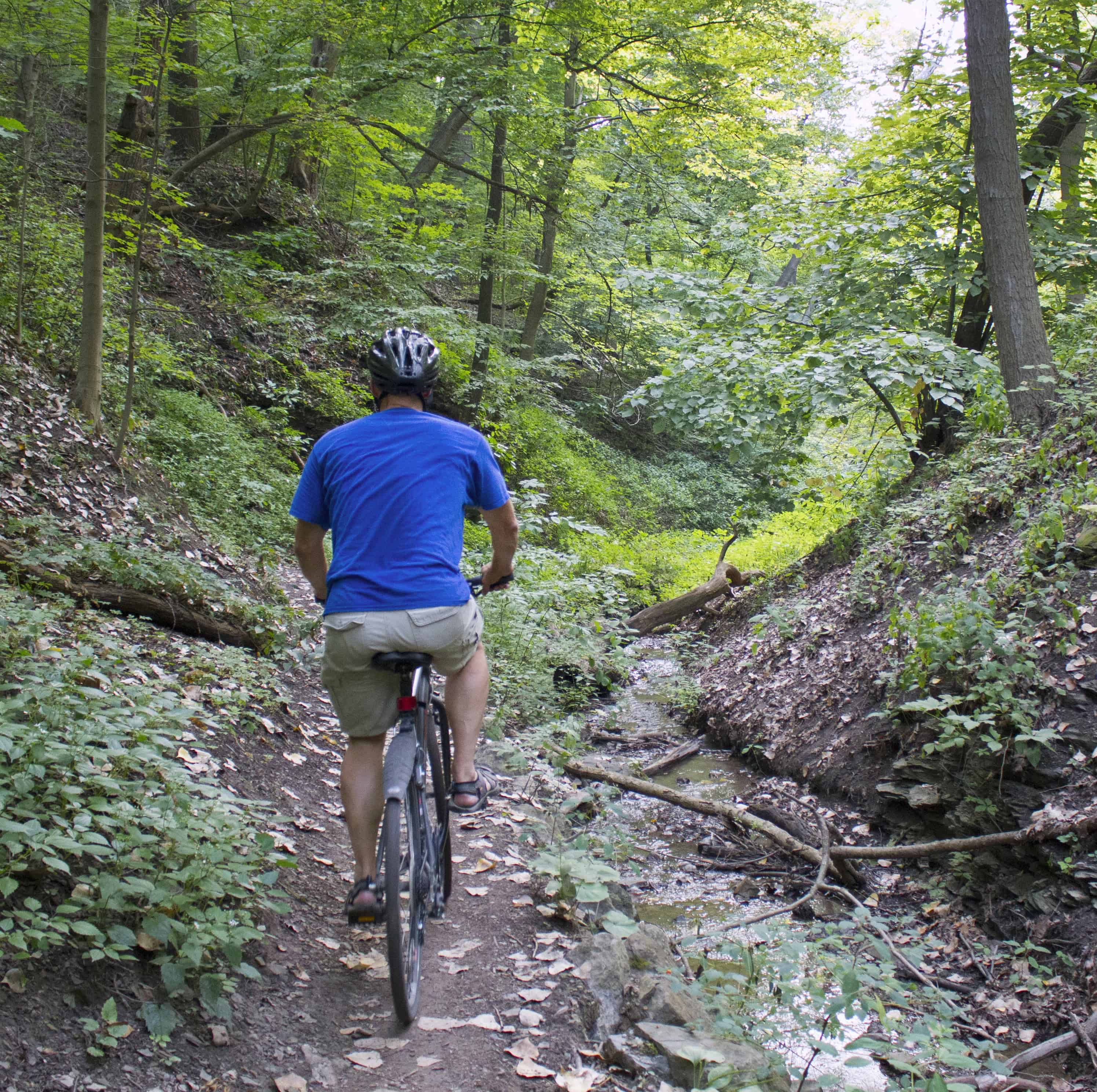 Schenley Park bike trail summer spring green blue shirt 2015 (image credit Joe Serkoch)