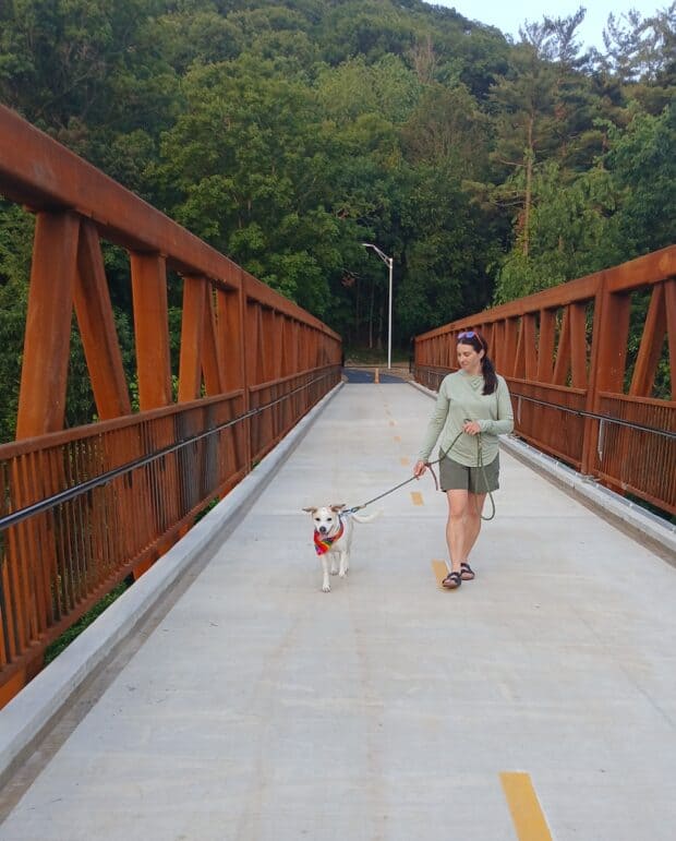 Jennifer Reitzell on the Davis Ave Bridge with her dog, Angie!