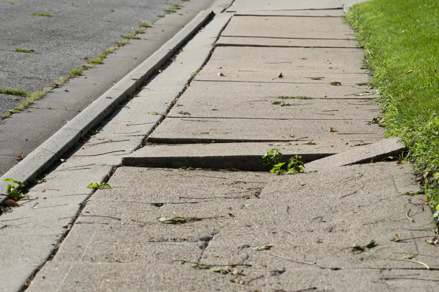A badly broken sidewalk.