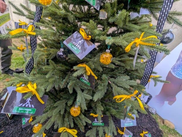 An evergreen tree with ornaments showing the names of traffic violence victims.